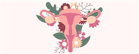 mycose vaginale perte|Mycose Vaginale : causes, symptômes, diagnostic et traitement